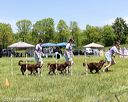 20170521-neatmc-0009