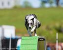 20170521-neat-1802