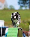20170521-neat-1844