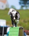 20170521-neat-1847
