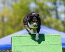 20170521-neat-1672