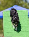 20170521-neat-1675