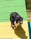 20170521-neat-1678