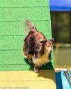 20170521-neat-1710