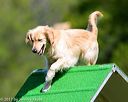 20170521-neat-0282