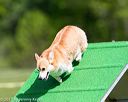 20170521-neat-0299