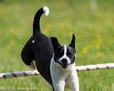 20170521-neat-0346