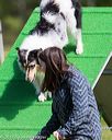 20170521-neat-0352