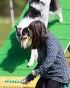 20170521-neat-0353