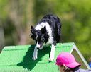 20170521-neat-0400