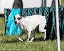 20170521-neat-0050