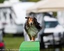 20170521-neat-0750