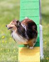 20170521-neat-0762