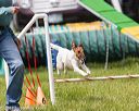 20170521-neat-0788