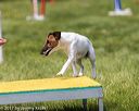 20170521-neat-0791