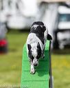 20170521-neat-0697