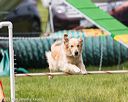 20170521-neat-0633