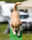 20170521-neat-0651