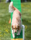 20170521-neat-0656