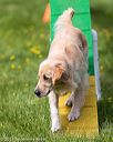 20170521-neat-0659