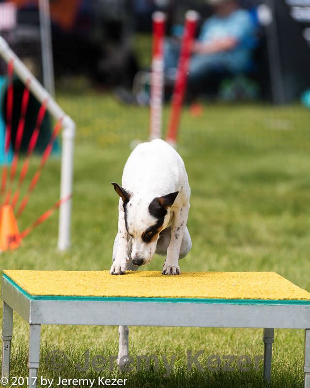 20170521-neat-0585.jpg