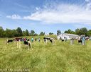 20170521-neatmc-0028