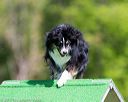 20170521-neat-0378