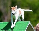 20170521-neat-0418