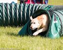 20170521-neat-0167