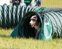 20170521-neat-0175