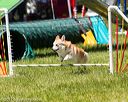 20170521-neat-1267