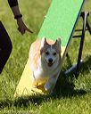 20170521-neat-1275