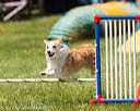 20170521-neat-1089