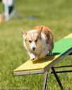 20170521-neat-1091