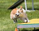 20170521-neat-1097