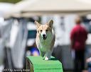 20170521-neat-1098