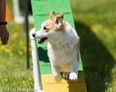 20170521-neat-1103
