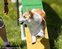 20170521-neat-1104