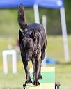 20170521-neat-0083