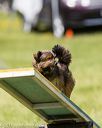 20170521-neat-1063