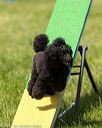 20170521-neat-1042
