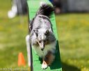 20170521-neat-1006