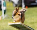 20170521-neat-1013