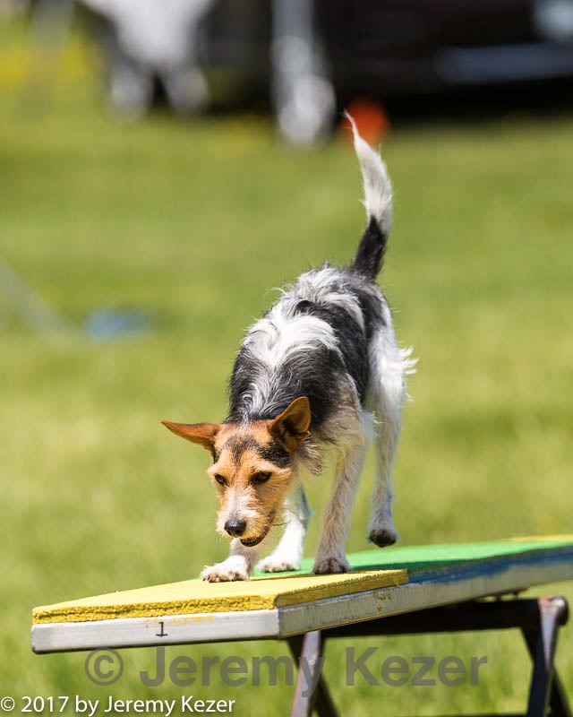 20170521-neat-0960.jpg