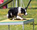 20170521-neat-0847