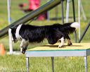 20170521-neat-0848