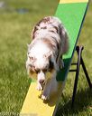 20170521-neat-0872