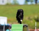 20170521-neat-1722