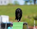 20170521-neat-1724