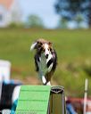 20170521-neat-1751